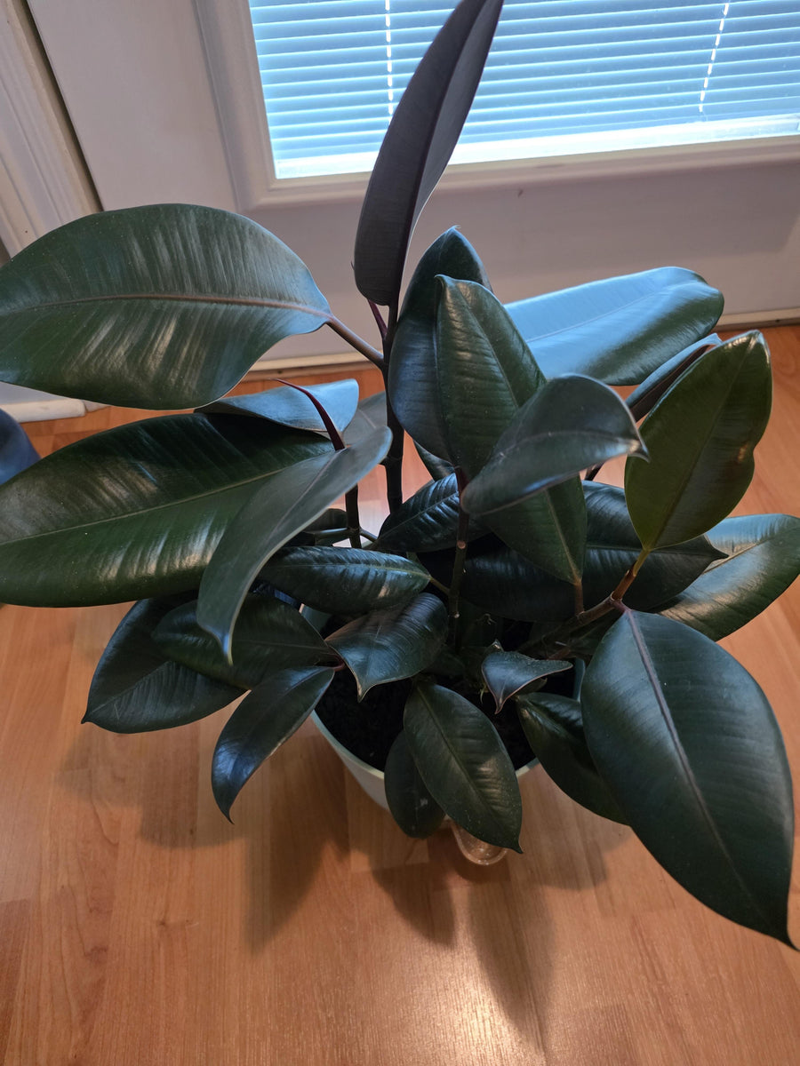 Review photo from Chandler P.