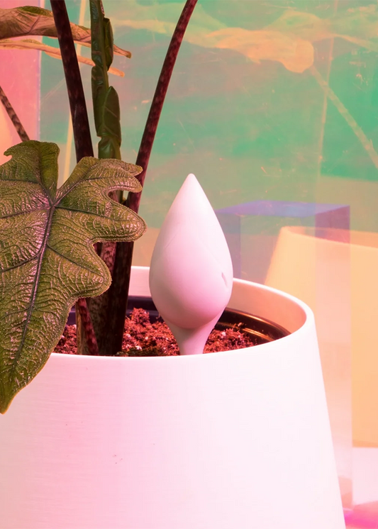 Leaflet® Plant Monitor