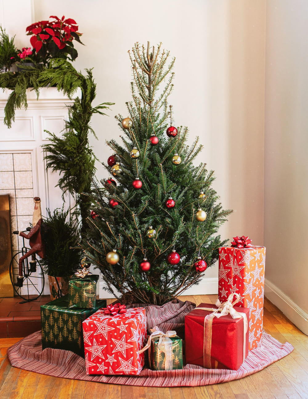 4ft Balsam Fir Christmas Tree