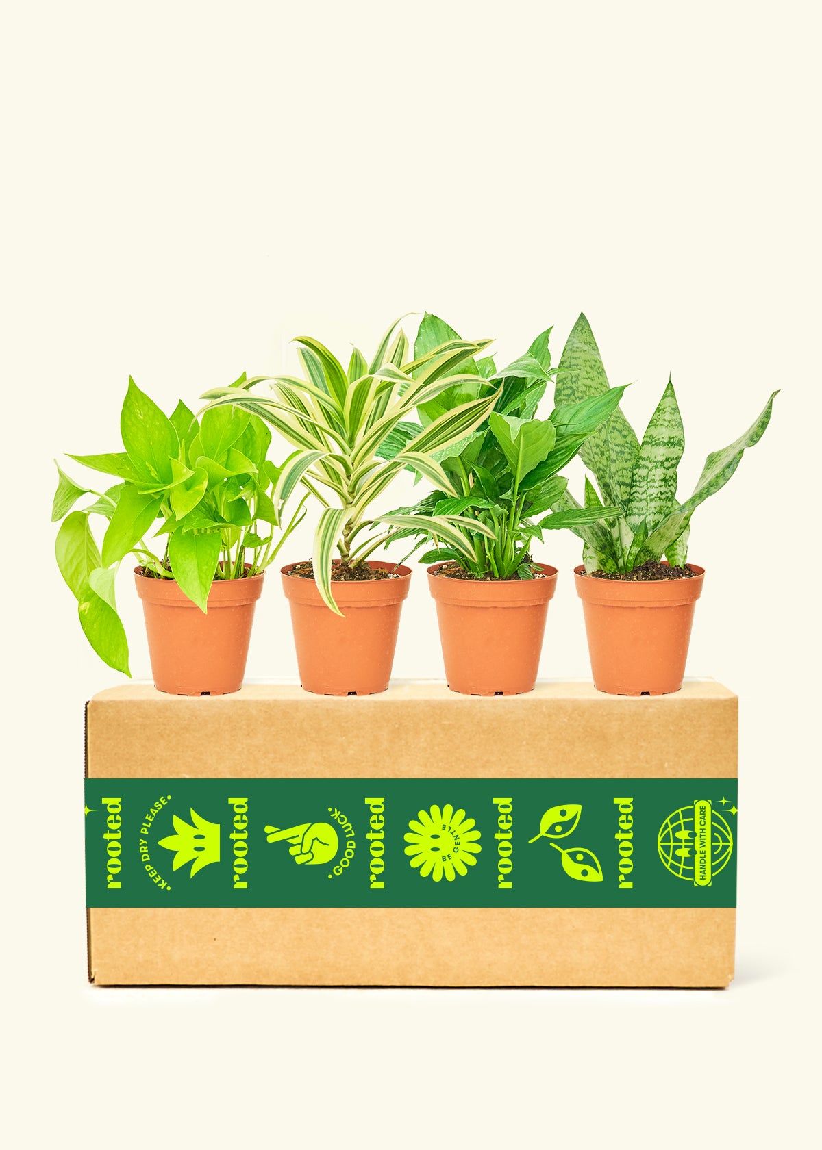 Breath of Fresh Air Box Bundle
