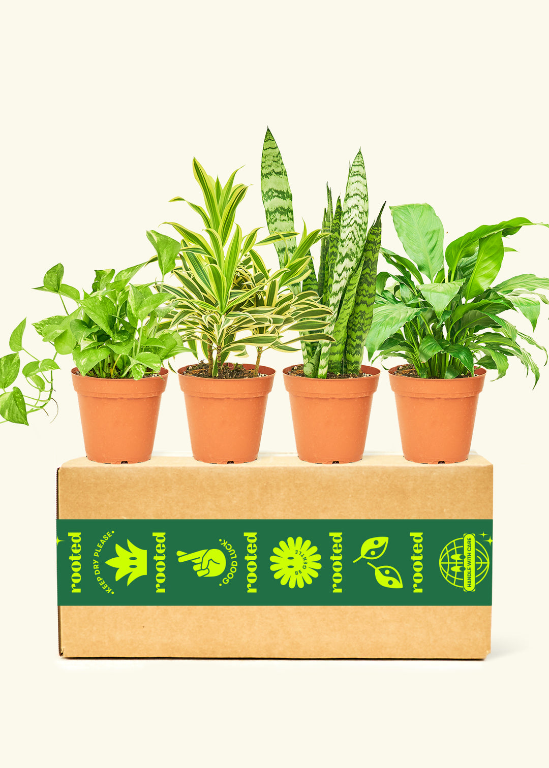 Breath of Fresh Air Box Bundle