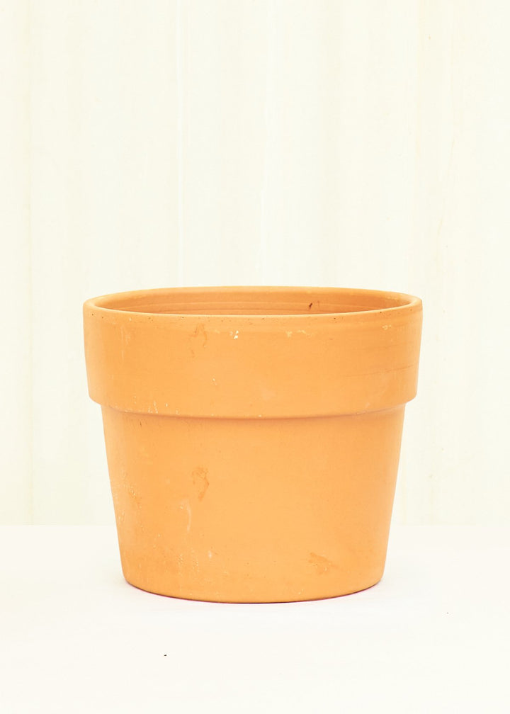 Terracotta Perfetto Cache Pot Planter Deroma 