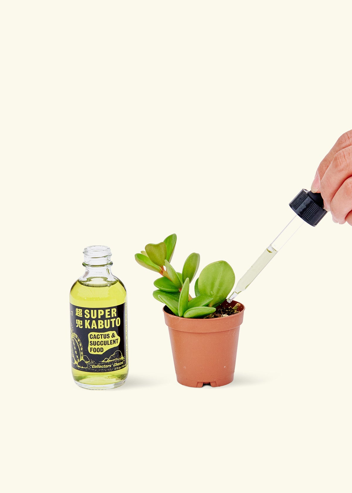 Super Kabuto Cactus Fertilizer - Thumbnail 4