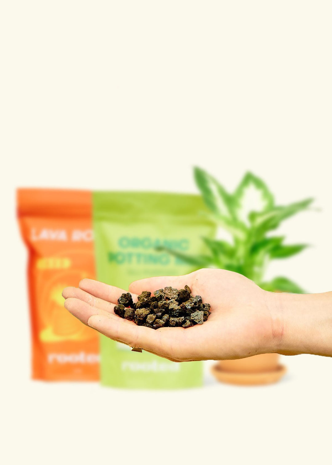 Potting Mix Trio, 3 Potting Mix